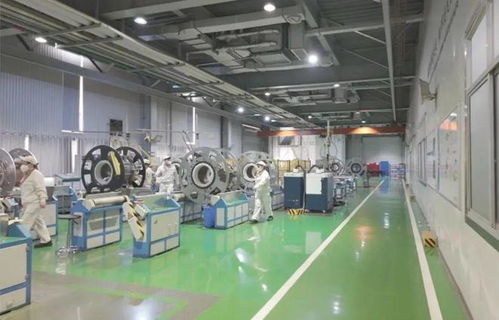 以教育之強譜寫高質量發展新篇 浙大勇擔使命，我與教育強國共成長
